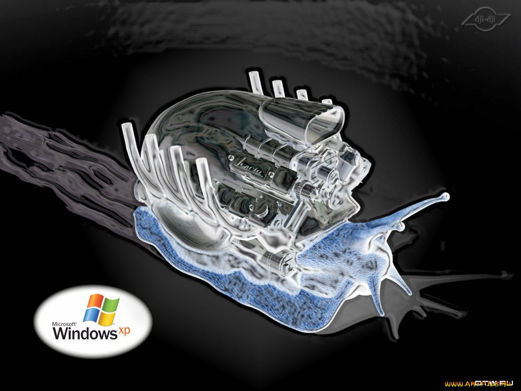 windows, xp, 